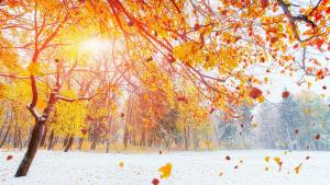 времето есен сняг