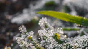 времето есен сняг