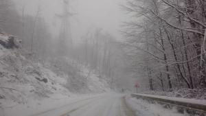 сняг Петрохан