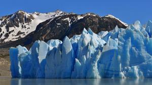 Ледникът Грей ледник