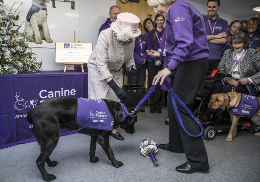  Прелестно куче подари букет на кралица Елизабет 