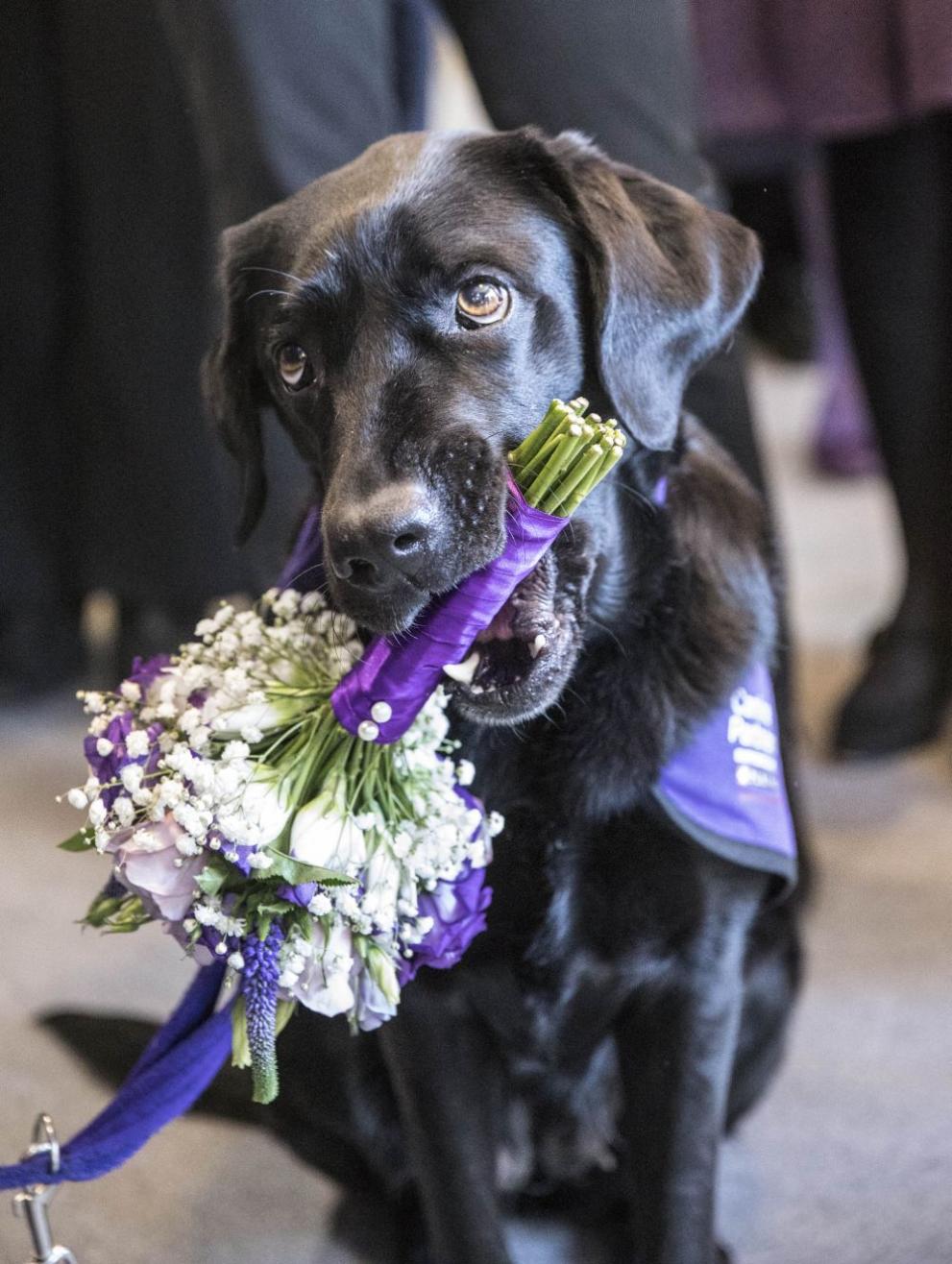  Прелестно куче подари букет на кралица Елизабет 