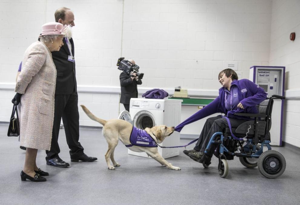  Прелестно куче подари букет на кралица Елизабет 