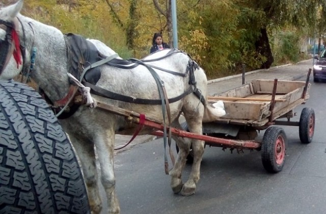 Кола удари движеща се по пътното платно каруца в Хасковско