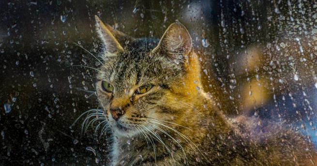 През следващото денонощие облачността над страната ще е значителна През