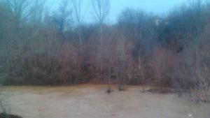 Река Бистрица