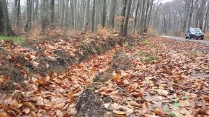 горски пътища