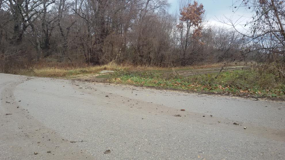 В следващите 3 месеца е забранено движението на МПС в гората на парк "Шуменско плато"