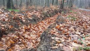 горски пътища