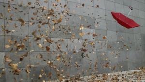 бурен вятър