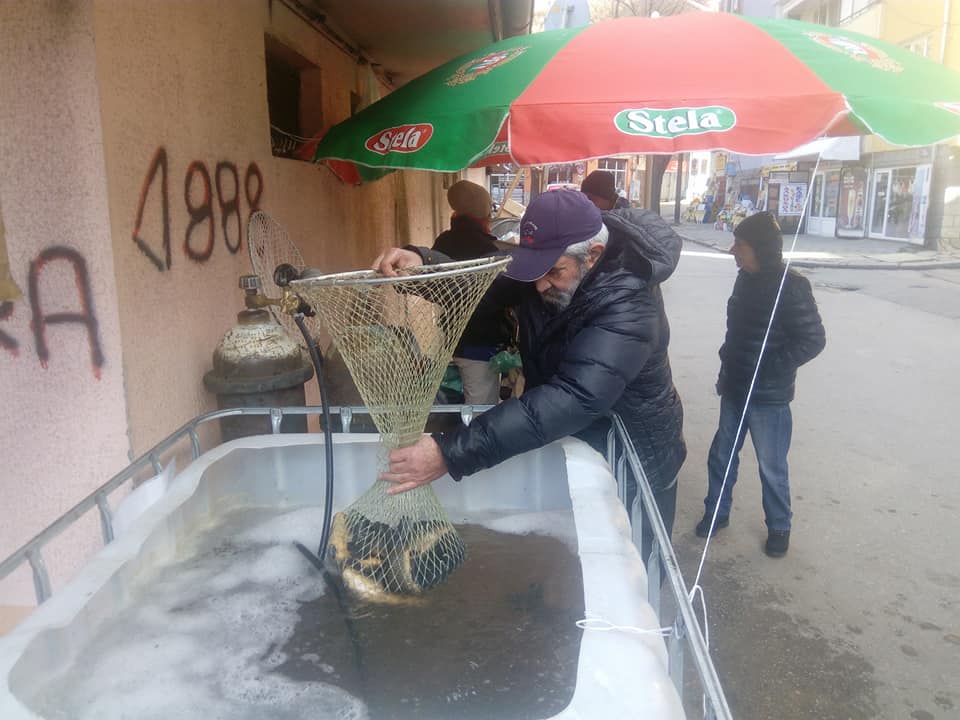 Жив шаран на пазара в Кюстендил