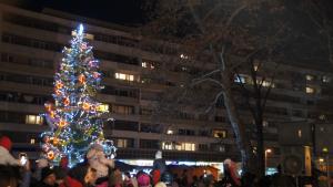 елха добрич