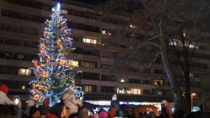 елха добрич