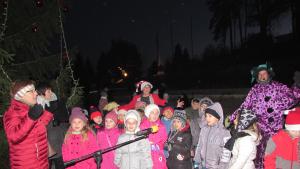 елха Белоградчик