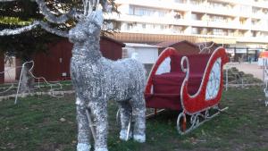 коледна добрич