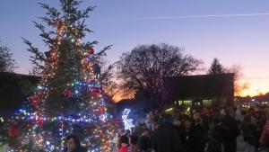 коледа шабла