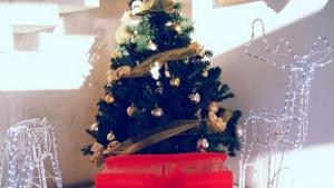 коледна украса