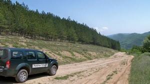 трафиканти