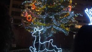 коледен концерт добрич