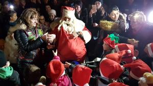 елха мездра