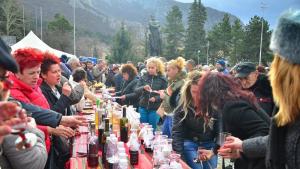 мезета враца