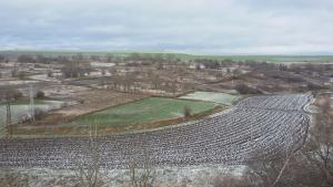 Зимни шуменски