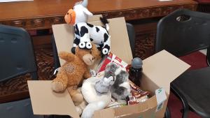 дарение Мездра