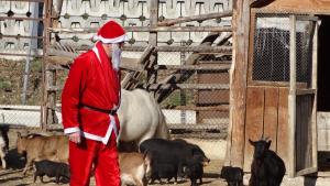 Дядо Коледа посети варненския зоопарк и на миналата Коледа