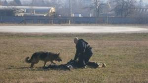 гранични полицаи