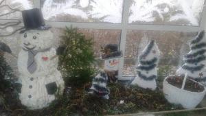 витрини добрич