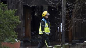 пожар зоопарк Лондон