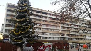 коледа добрич