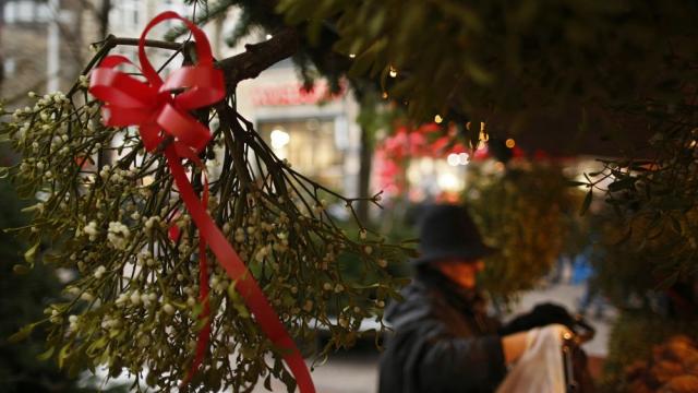 Целувките под имела вещаят щастлива година и здраве