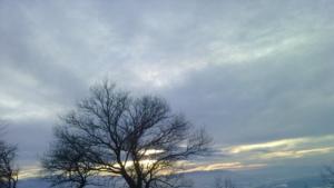 Синоптична прогноза