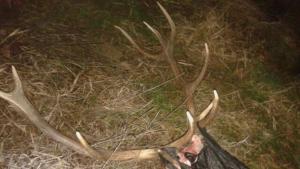 Да убиеш част от Коледния дух