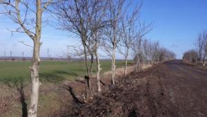 почистване