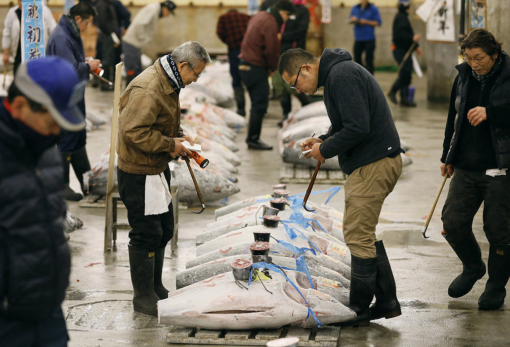 Десетилетията на прекомерен риболов на тон доведоха до срив на пазара, което накара някои западни страни да поискат забрана за лова на застрашения атлантически червен тон. Голяма част от пазара, на който този вид риба се продава, е именно японският. Месото й, известно като „куро магуро“ (черен тон), се използва в множество специалитети, включително и суши.