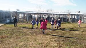 Кучета търговище