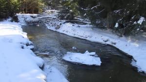 река Доспатска