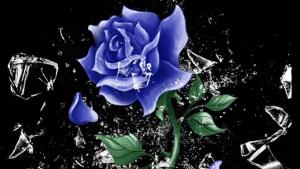 драматичен театър добрич