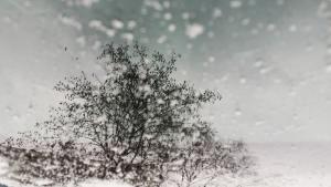 времето сняг