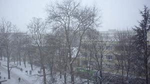 зимна добрич