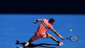 Григор Димитров