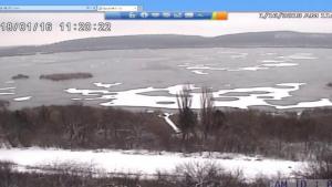 Сребърна