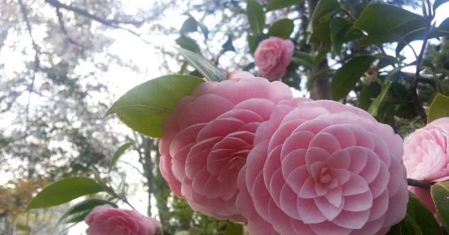 Нека си признаем че перфекционистите могат да бъдат крайно досадно