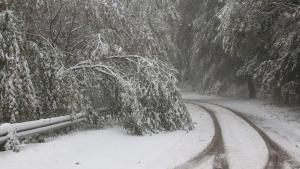 сняг бурен вятър