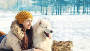 зима сняг жена куче