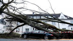 буря Европа