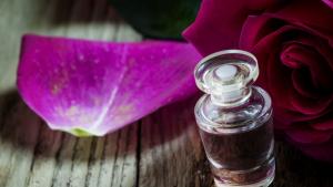 Заплаха за българското розово масло заради регламент който се подготвя