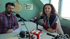 Жълтото земно куче